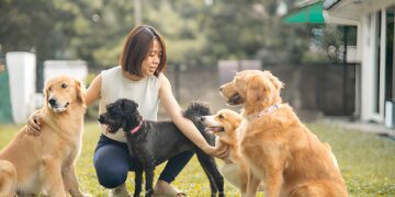 How to Prepare Your Dog for Their First Boarding Stay