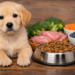 Best Dog Food for Puppies with Allergies