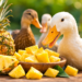 Can Ducks Eat Pineapple