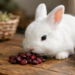 Can Rabbits Eat Dried Cranberries
