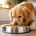 How to Improve Dog Digestion