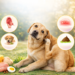 Signs of Food Allergies in Dogs