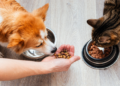 pet food nutrition guide