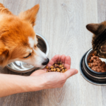pet food nutrition guide