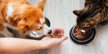 pet food nutrition guide