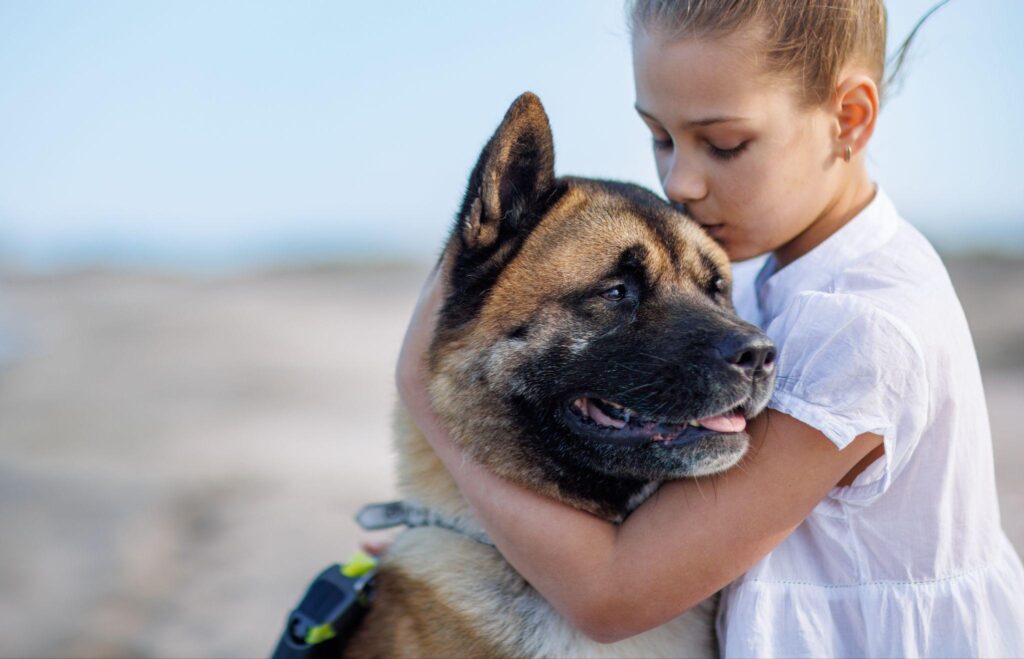 how dogs sense emotions