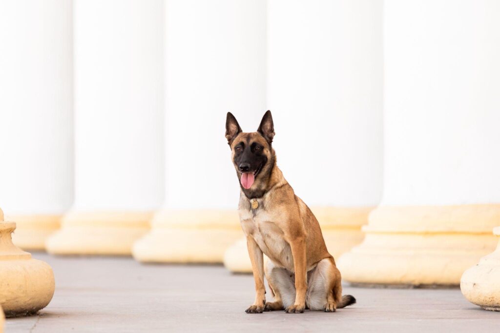 luxury travel security